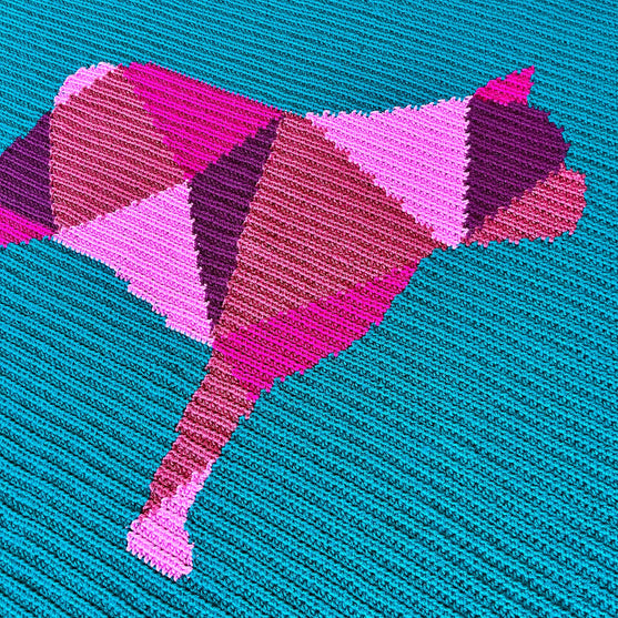 Bulldog Français - Couverture
4