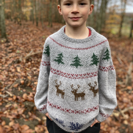 Holly Pines - Sweater Junior
1