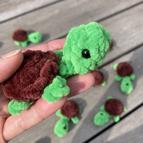 Rainbow Turtles - Memory Game
10