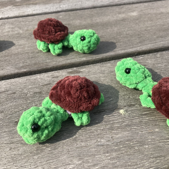Rainbow Turtles - Memory Game
11