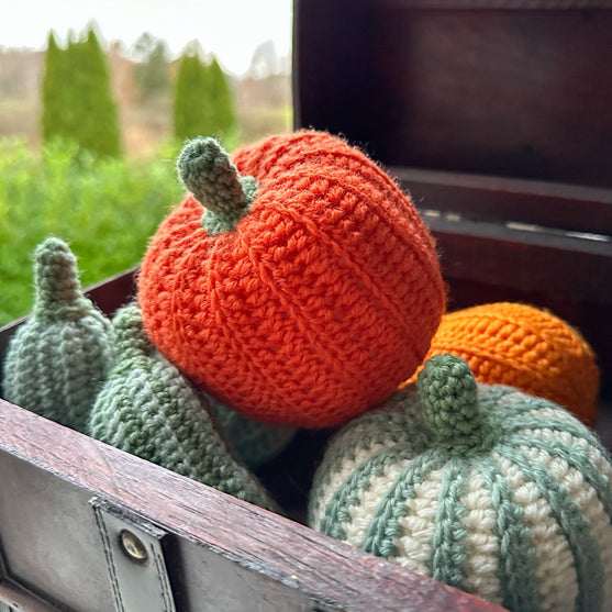 Decorative Pumpkins - Round
1