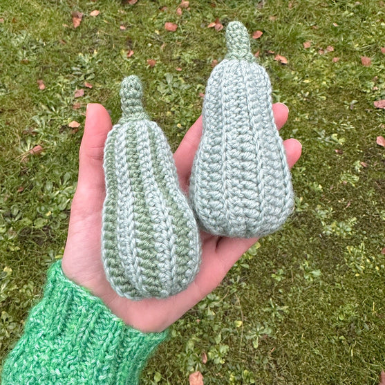 Decorative Pumpkins - Oblong
6