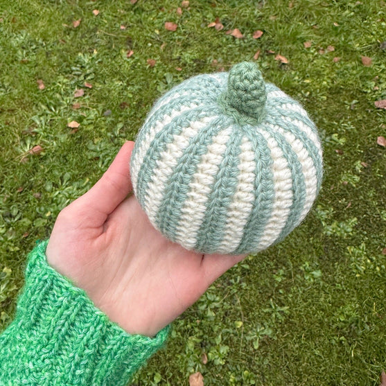 Courges Ornementales – Rondes
7