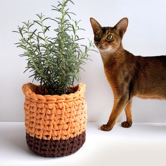 Keep It - Basket Set
7