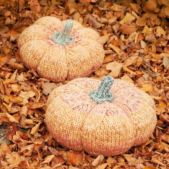 Citrouilles géantes
2