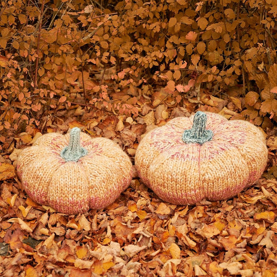 Citrouilles géantes
4