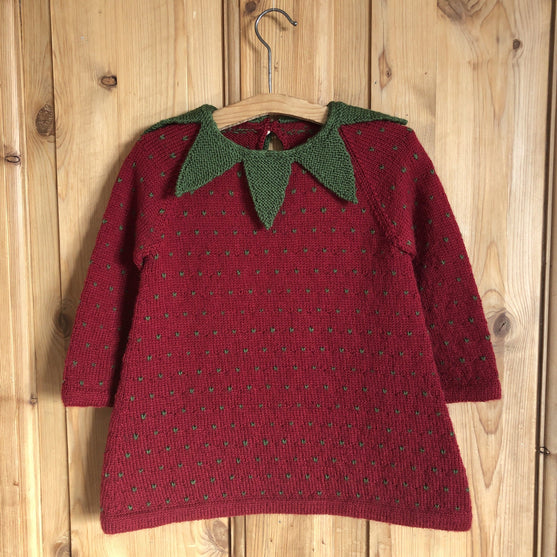 The Strawberry Dress
2