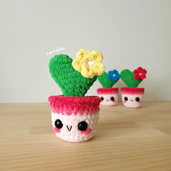 Lia The Tiny Heart Cactus
1