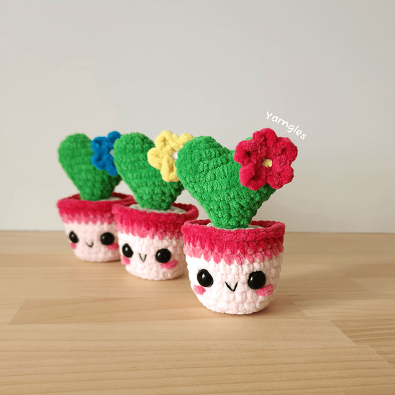 Lia The Tiny Heart Cactus
3