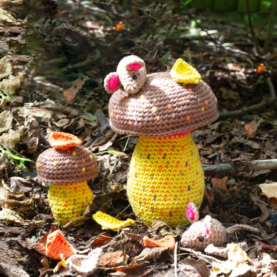 Mushrooms & Mice
2