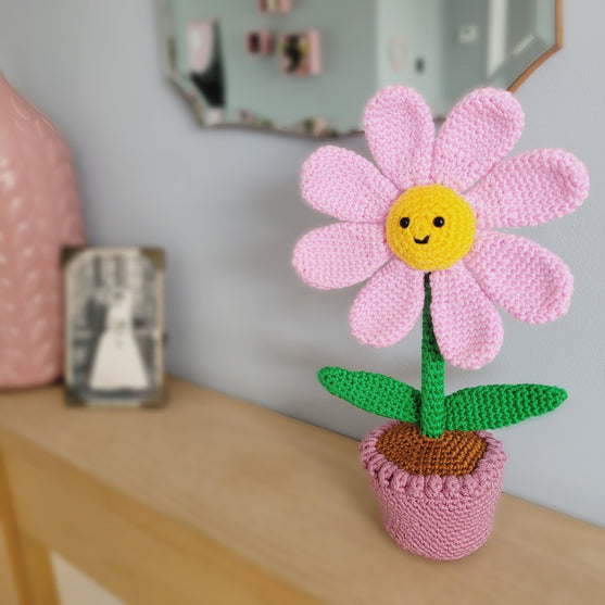 Flora Le Pot de Fleur
2