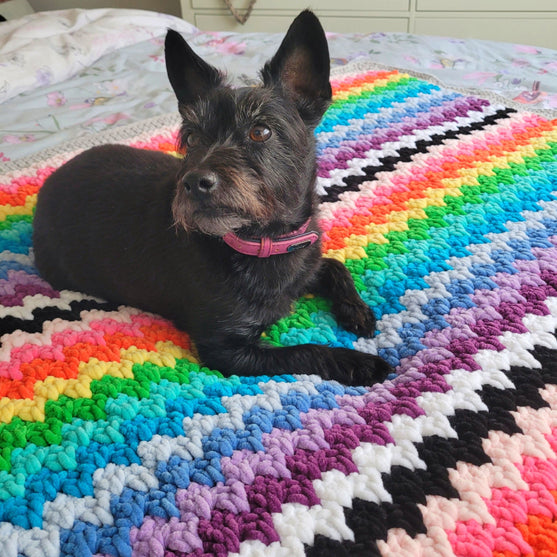 The Rainbow Cuddle Blanket
5