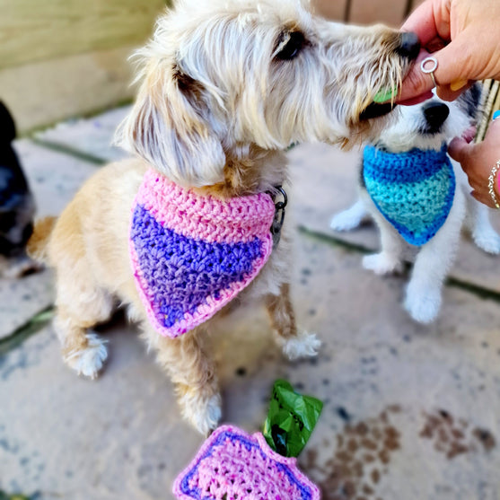 Alfie - Bandana & Matching Poop Bag Holder
6