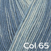 Regia Premium Silk Color 4-ply - Regia
15