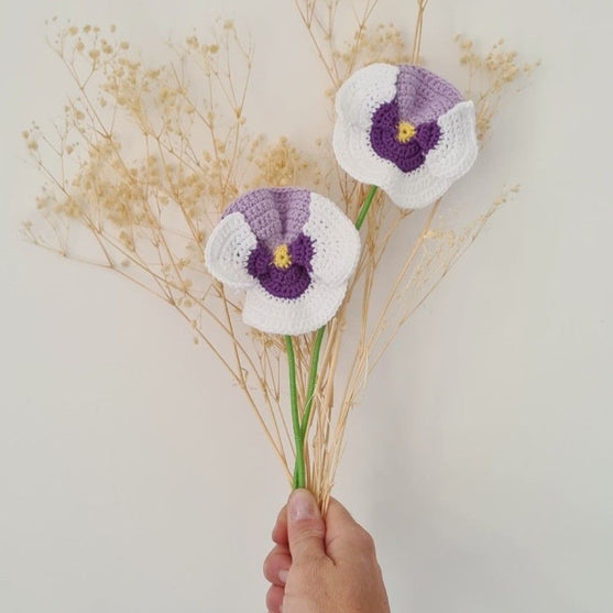 Pansy Flower
1