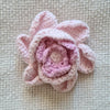 Peonie Flower
4
