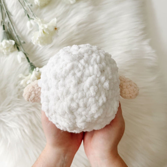 Shelby Sheep
2