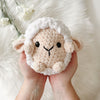 Shelby Sheep
1
