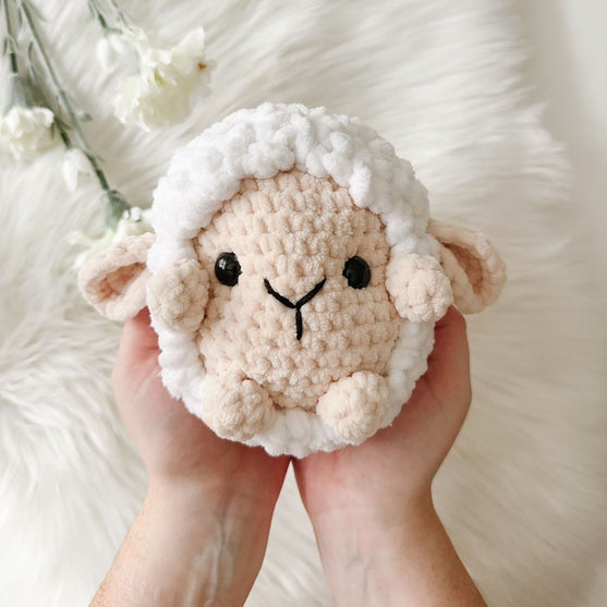 Shelby Sheep
1