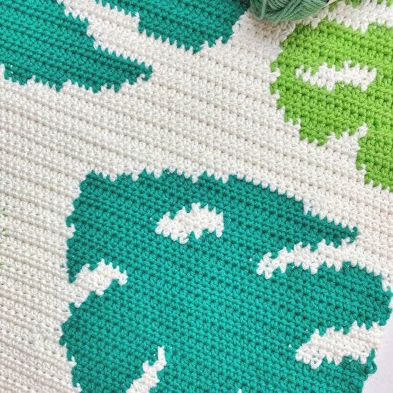 Monstera - Cushion
3