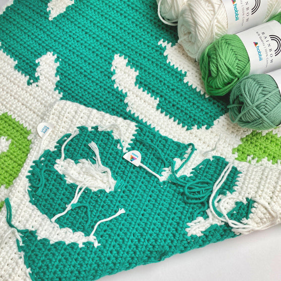 Monstera - Coussin
4
