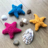 Steffy Starfish
1