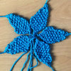 Steffy Starfish
2