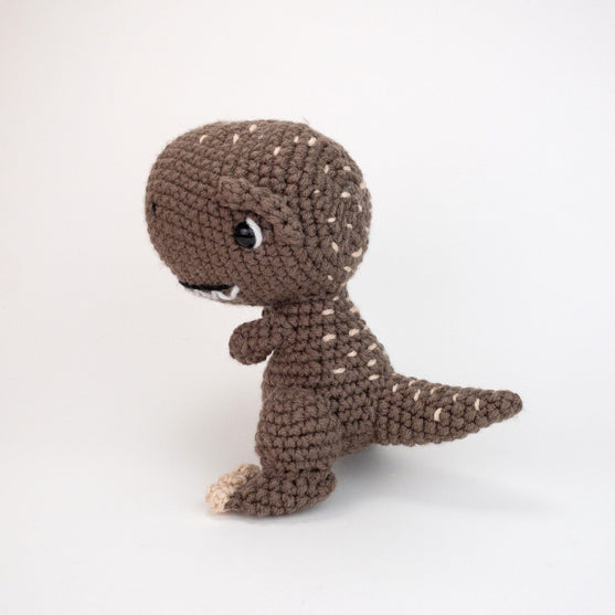 Troy the T-Rex
2