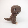 Troy the T-Rex
1