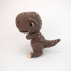Troy the T-Rex
4