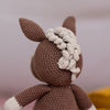 Hilda the Horse
6