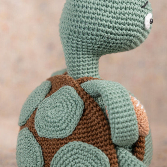 Theo the Turtle
4