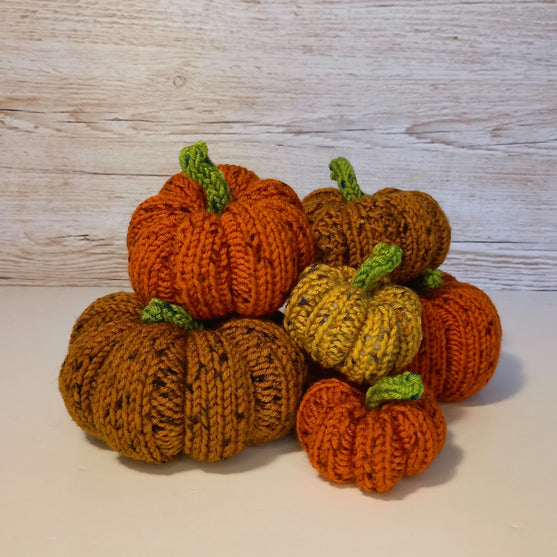 Citrouilles Tweedy
4