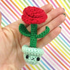 Flower Garden
6
