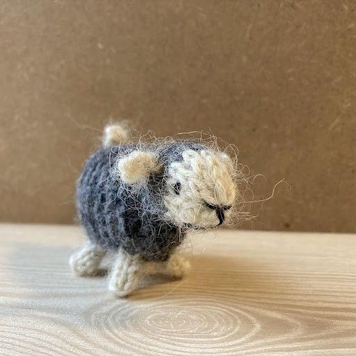 Wooly
1