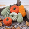 

Decorative Pumpkins - Oblong
3