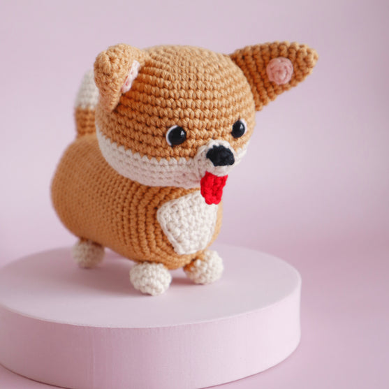 

Cooper le Corgi
1
