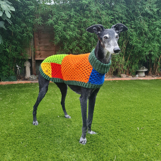 

Wally - Dog Jumper
1