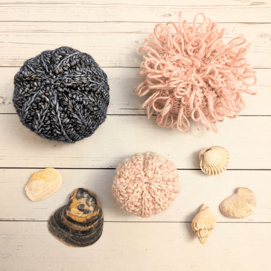 

Sea Urchin
1