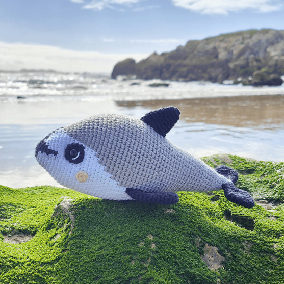 

Vaquita Porpoise
2