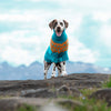 

Dalmatian - Dog Sweater
1
