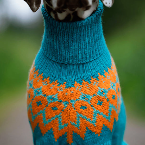 

Dalmatian - Dog Sweater
3