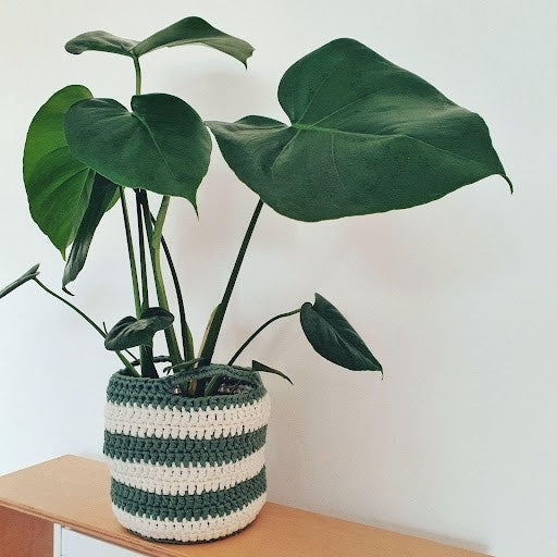 June - Plant Basket