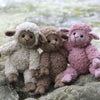 

Teddy Basserne
2