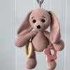 

Lapin sensoriel
1