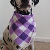 

Summer Picnic - Dog Neckerchief
1