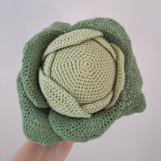 

Vegetables - Cabbage, carrots and zucchini
3