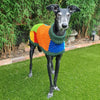 

Wally - Dog Jumper
2