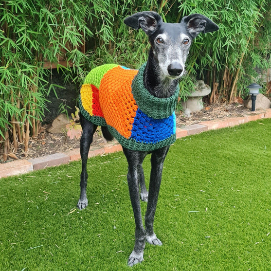 

Wally - Dog Jumper
2