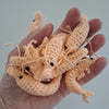 

Shrimps and lemons
2